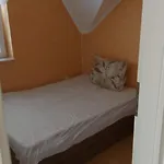 David Apartamento Gyula